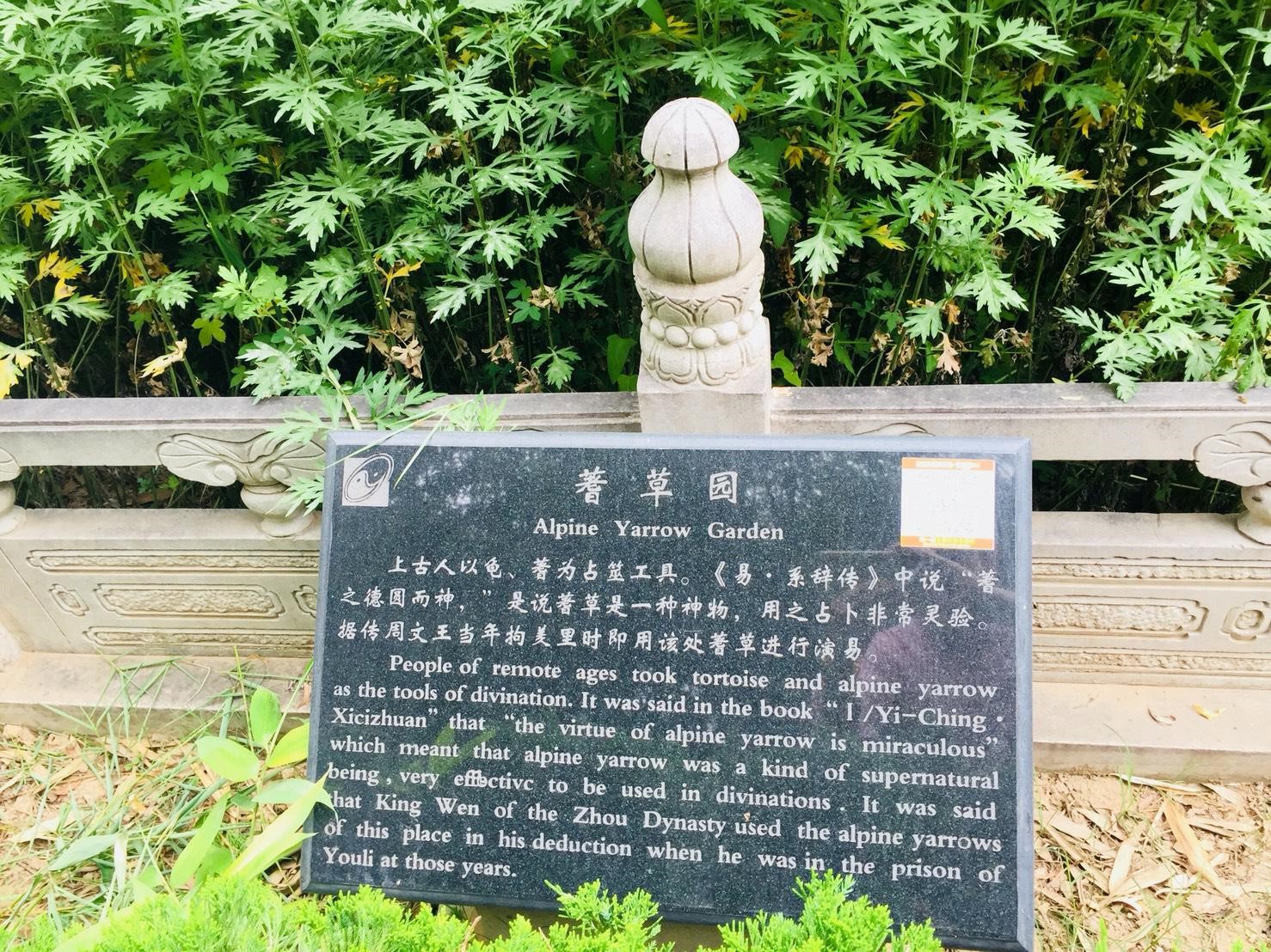 20180915.jpg